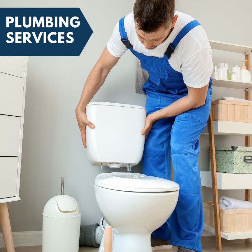 Plumbing Company in Hecker, IL